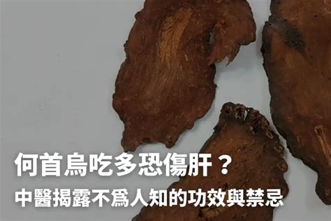 何首烏不能跟什麼一起吃|何首烏秋冬進補怎麼吃？醫列功效禁忌＋何首烏藥膳做。